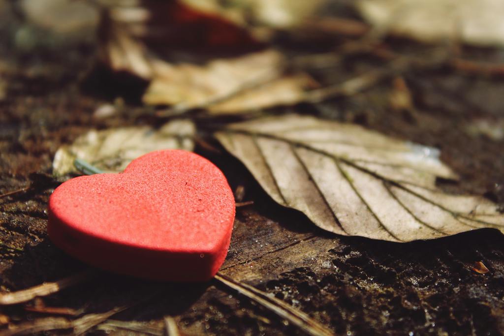 Following Jesus with Intentional Love